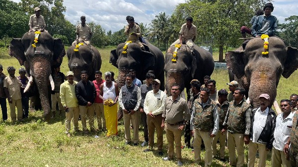  ಪುಂಡಾನೆ ಸೆರೆ ಕಾರ್ಯಾಚರಣೆಗೆ ನಿರಂತರ ಒತ್ತಡ