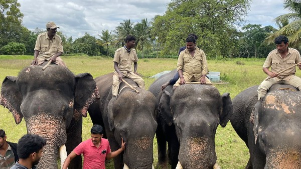  ತಕರಾರು ಸರಿಪಡಿಸುವ ಭರವಸೆ