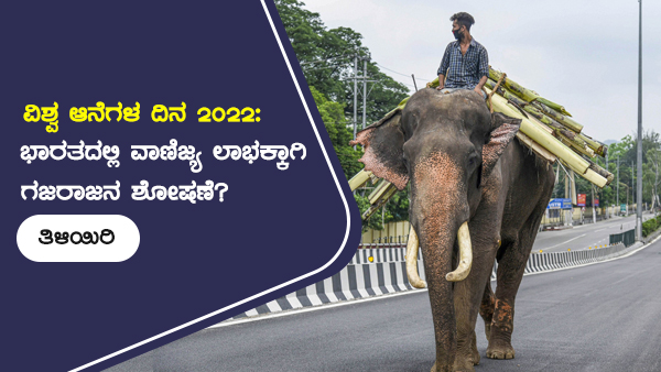 ವಾಣಿಜ್ಯ ಲಾಭಕ್ಕಾಗಿ ಆನೆಗಳ ಶೋಷಣೆ 