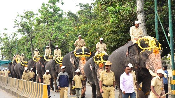  ಜಪಡೆಗಳ ನೋಟ ನಗರಕ್ಕೊಂದು ಕಳೆ 