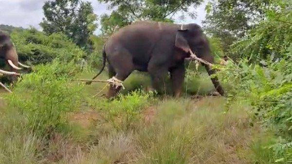 ಕ್ಯಾಂಪ್ ಮುಂದುವರೆಸುವ ಭರವಸೆ ನಂತರ ಪ್ರತಿಭಟನೆ ವಾಪಸ್