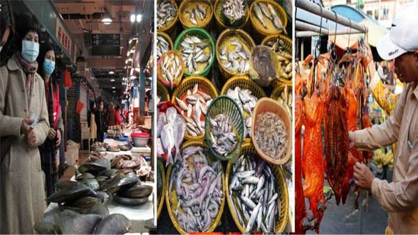 Sea food Annual Exhibition for Export, Supply, Processing on 2023