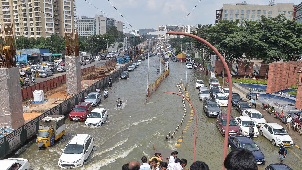 Caught Fresh Fish In Bengaluru Submerged Road: Photo Went Viral 