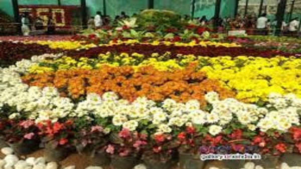 ಪ್ರಬಂಧ ಸ್ಪರ್ಧೆಯಲ್ಲಿ 800ಕ್ಕೂ ಹೆಚ್ಚು ಮಕ್ಕಳು ಭಾಗಿ