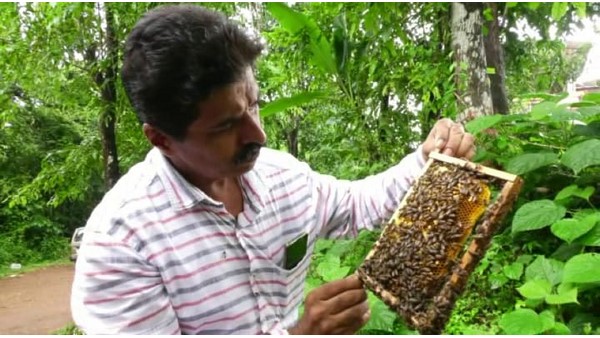  4.5 ಟನ್‌ ಜೇನುತುಪ್ಪ ಉತ್ಪಾದನೆ 