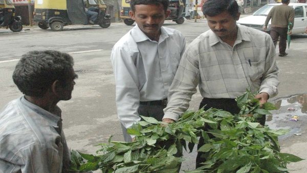 ಆಟಿಸೊಪ್ಪಿನ ನೀಲಿ ಬಣ್ಣದ ರಸ