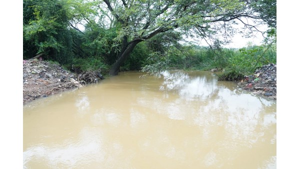  ಭರ್ತಿಯಾದ ಮತ್ತು ಹಾನಿಗೊಳಗಾದ ಕೆರೆಗಳು 