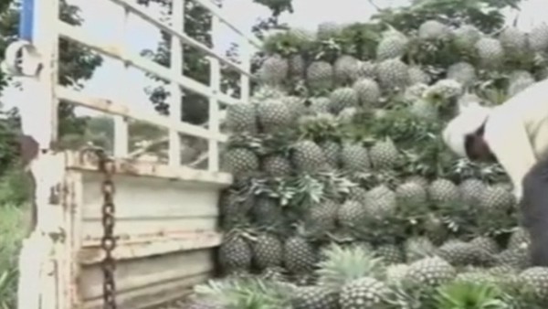  ಉತ್ತರ ಭಾರತಕ್ಕೆ ಪೂರೈಕೆ 