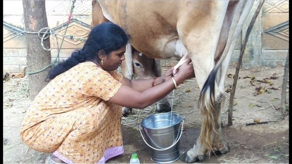  ವೈಜ್ಞಾನಿಕ ಬೆಲೆ ನಿಗದಿ ಮಾಡಲು ಒತ್ತಾಯ