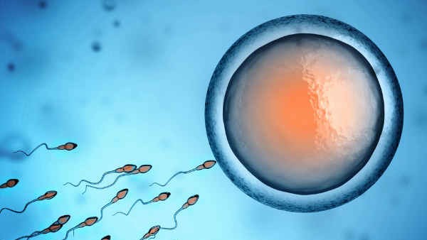 ಕೈಲ್ ಗೋರ್ಡಿ ಮೂಲಕ ಜನರಿಗೆ ಹೇಗೆ ಸಹಾಯ? ಕೈಲ್ ಗೋರ್ಡಿ ಮೂಲಕ ಜನರಿಗೆ ಹೇಗೆ ಸಹಾಯ?