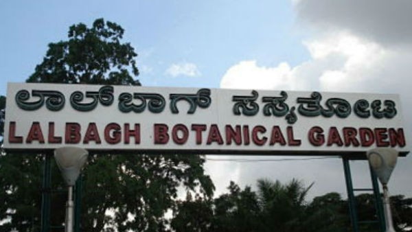  ಟಿಕೆಟ್ ದರವನ್ನು ಇಳಿಕೆ