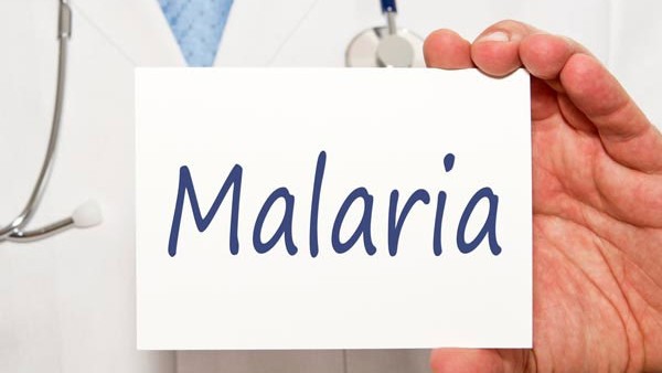 ಸೊಳ್ಳೆ ದಿನದ ಇತಿಹಾಸ 