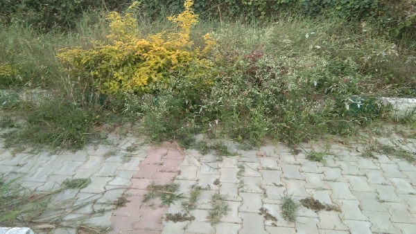 ಮುರಿದುಬಿದ್ದಿರುವ ಉದ್ಯಾನದ ಪಾರ್ಕಿಂಗ್ ಟೈಲ್ಸ್ಗಳು ಮುರಿದುಬಿದ್ದಿರುವ ಉದ್ಯಾನದ ಪಾರ್ಕಿಂಗ್ ಟೈಲ್ಸ್ಗಳು