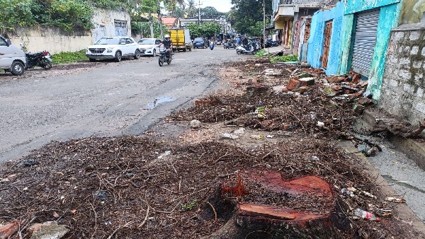 ಒಣಗಿದ ಮರಗಳನ್ನು ಮಾತ್ರ ಕಡಿಯಲಿ 
