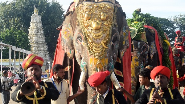 ದಸರಾಕ್ಕ ಗಜಪಡೆಯಿಂದ ಕಳೆ 