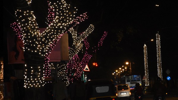  ಮರಗಳಿಗೆ ದೀಪಾಲಂಕಾರ ಬೇಡ ಎಂದು ಮನವಿ 
