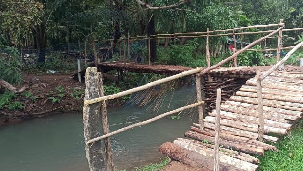 Temporary footbridge to Tulsi Gowda house, MLA kept her word