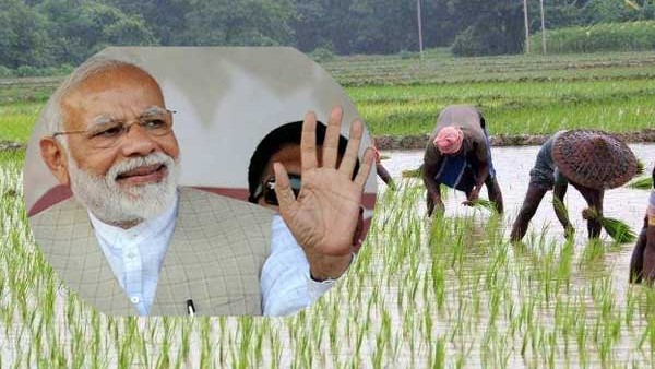 ನೀವು ಸ್ವ ಘೋಷಣಾ ಪತ್ರ 