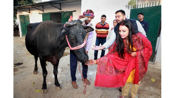 ಯಾರು ಈ ರಾಚೆಲ್ ಗಾಡಿನ್ಹೋ? ಯಾರು ಈ ರಾಚೆಲ್ ಗಾಡಿನ್ಹೋ?