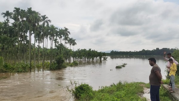 Damage In Bhadra Left Bank Canal At Shivamogga Crop Submerged Damage In Bhadra Left Bank Canal At Shivamogga Crop Submerged