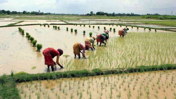 ಬಿಜೆಪಿಯ ರೈತರ ಸಾಲಮನ್ನಾ ಎಲ್ಲಿದೆ?