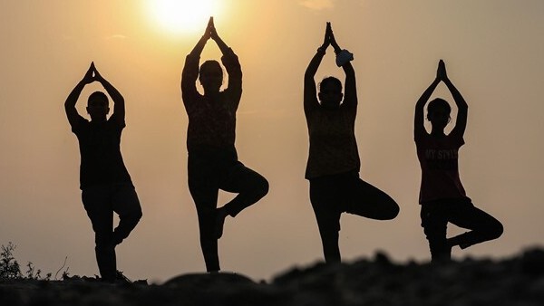 ಎನ್ಇಪಿ ಅಡಿಯಲ್ಲಿ ವೃತ್ತಿಪರ ಕೋರ್ಸ್ ಎನ್ಇಪಿ ಅಡಿಯಲ್ಲಿ ವೃತ್ತಿಪರ ಕೋರ್ಸ್