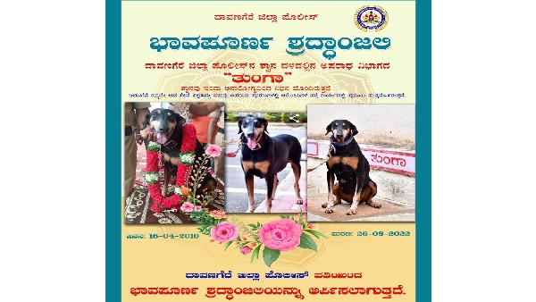 ಹ್ಯಾಂಡ್ಲರ್‌ ಹೇಳಿದ ಹಾಗೆ ಕೇಳುತ್ತಿದ್ದ ಶ್ವಾನ 