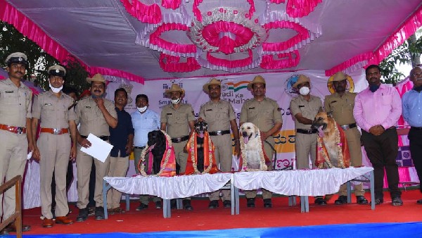 ಮನೆಮಗಳಂತಿದ್ದ ತುಂಗಾ 