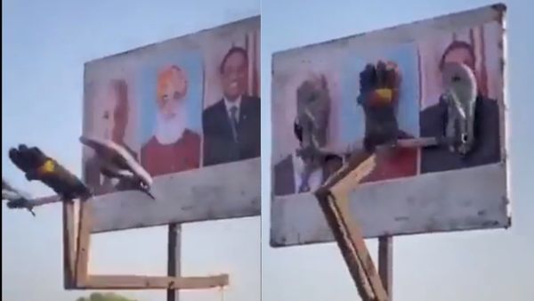 ಟ್ವಿಟರ್‌ನಲ್ಲಿ ಹಂಚಿಕೊಂಡಿರುವ ವಿಡಿಯೋದಲ್ಲಿ ಎಚ್ಚರಿಕೆ 