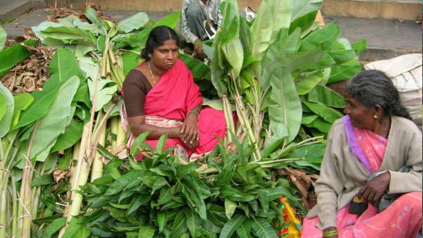  ಬೆಲೆಯನ್ನು ಕೇಳಿದರೇ ಮಿಶ್ರಹಣ್ಣಿಗಳ ಖರೀದಿ ಬೆಸ್ಟ್ 