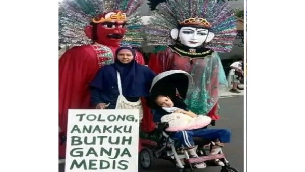 ಗಾಂಜಾ ಬಳಕೆ ಕಾನೂನುಬದ್ದಗೊಳಿಸಲು ವಾರುಸ್ತಿತಿ ಹೋರಾಟ ಗಾಂಜಾ ಬಳಕೆ ಕಾನೂನುಬದ್ದಗೊಳಿಸಲು ವಾರುಸ್ತಿತಿ ಹೋರಾಟ