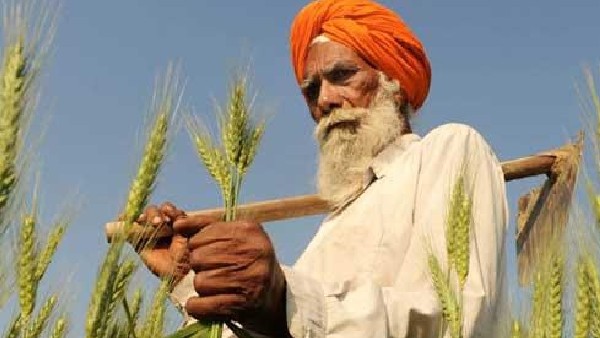 ಆಹಾರ ಧಾನ್ಯ ಉತ್ಪಾದನೆ ಮೇಲೆ ಯುದ್ಧದ ಪ್ರಭಾವ
