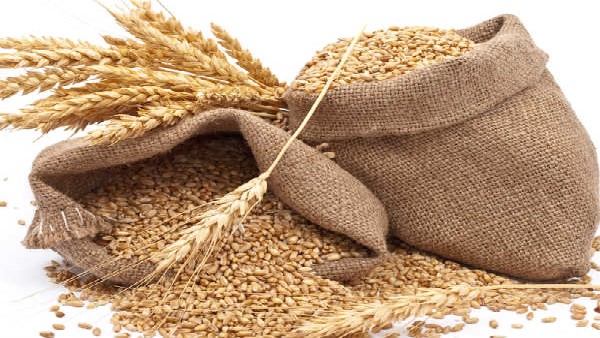  ಗೋಧಿ ರಫ್ತಿಗೆ ನಿರ್ಬಂಧ ವಿಧಿಸಿದ್ದ ಕೇಂದ್ರ