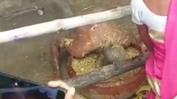 ಅದ್ಭುತ ವಿಡಿಯೊವನ್ನು ವೀಕ್ಷಿಸಿ