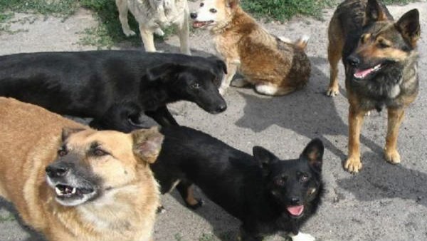 ಖಾಸಗಿ ಆಸ್ಪತ್ರೆಗಳ ಮಾಹಿತಿ ಲಭ್ಯವಾಗಿಲ್ಲ 