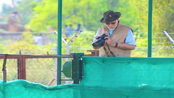 ಆ 3 ಚಿರತೆಗಳನ್ನು ಏಕೆ ಕೊಲ್ಲಲಾಯಿತು? ಆ 3 ಚಿರತೆಗಳನ್ನು ಏಕೆ ಕೊಲ್ಲಲಾಯಿತು?