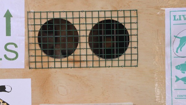  ಪ್ರಧಾನಿ ಮೀಸಲು ಪಡೆ ಗ್ವಾಲಿಯರ್ ಏರ್ ಬೇಸ್‌ಗೆ