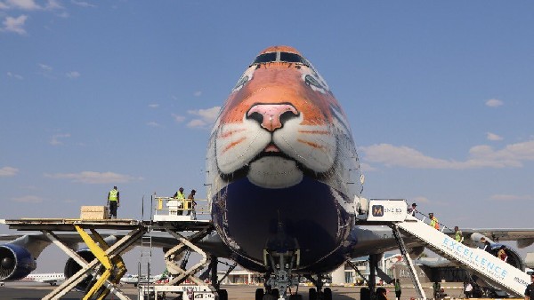  ಪ್ರಧಾನಿ ಮೋದಿ ಅಭಯಾರಣ್ಯದಲ್ಲಿ ಚಿರತೆಗಳನ್ನು ಬಿಡಲಿದ್ದಾರೆ