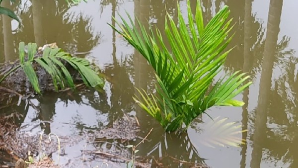  ಮಳೆ ಆರ್ಭಟಕ್ಕೆ ಬೆಣ್ಣೆ ನಗರಿ ಜನರು ತತ್ತರ