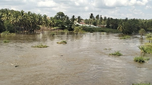  ಜಿಲ್ಲೆಯಲ್ಲಿ ಒಟ್ಟು ದಾಖಲಾದ ಮಳೆ 