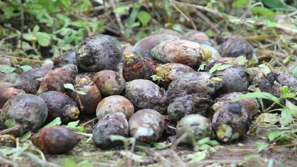 ಸರ್ಕಾರದ ವಿರುದ್ಧ ಭುಗಿಲೆದ್ದ ಜನಾಕ್ರೋಶ