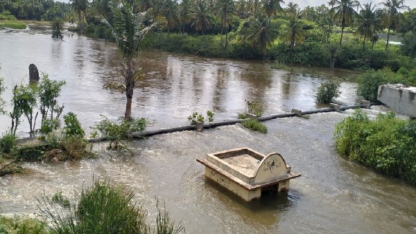 Rains caused severe damage to banana, coconut and Arecanut crops in Gounahalli of Hiriyur