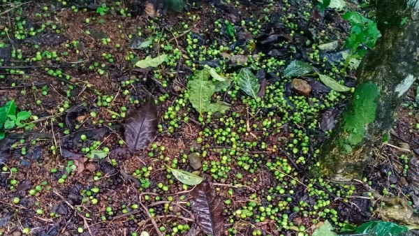 ಕತ್ತಲಲ್ಲಿ ಜೀವನ ಕಳೆಯುತ್ತಿರುವ ಕುಗ್ರಾಮಗಳು 