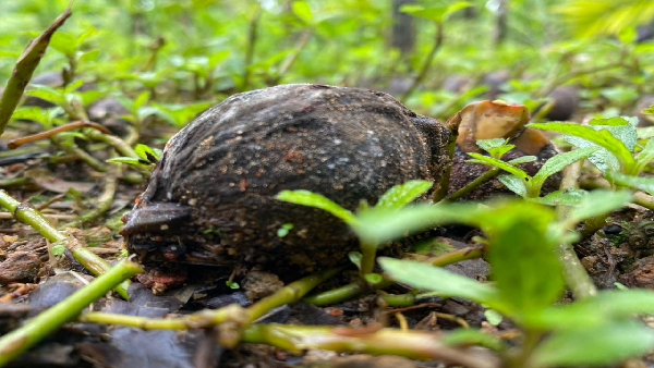 ಕಟೀಲ್‌ ವಿರುದ್ದ ಹರಿಹಾಯ್ದ ಕೃಷಿಕರು