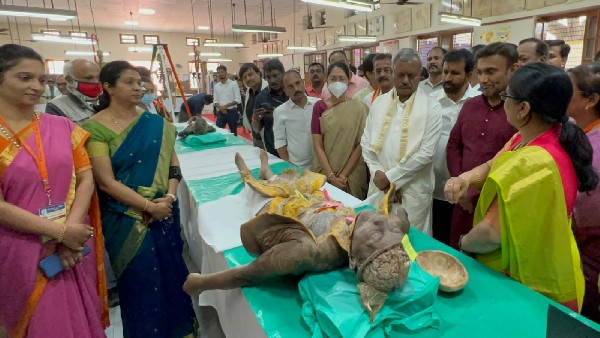  ಯಾವ್ಯಾವ ಕಾಮಗಾರಿಗಳಿಗೆ ಎಷ್ಟು ವೆಚ್ಚ? 