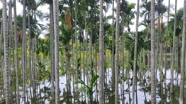  ಶಾಶ್ವತ ಪರಿಹಾರ ಕಲ್ಪಿಸುವಂತೆ ಜನರ ಒತ್ತಾಯ