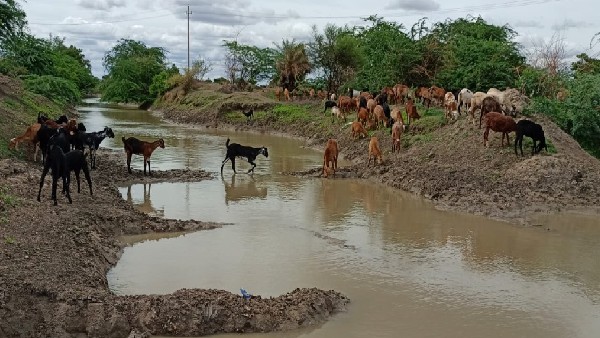 ಉತ್ತಮ ಪ್ರತಿಫಲದ ಭರವಸೆಯಲ್ಲಿ ರೈತರು ಉತ್ತಮ ಪ್ರತಿಫಲದ ಭರವಸೆಯಲ್ಲಿ ರೈತರು
