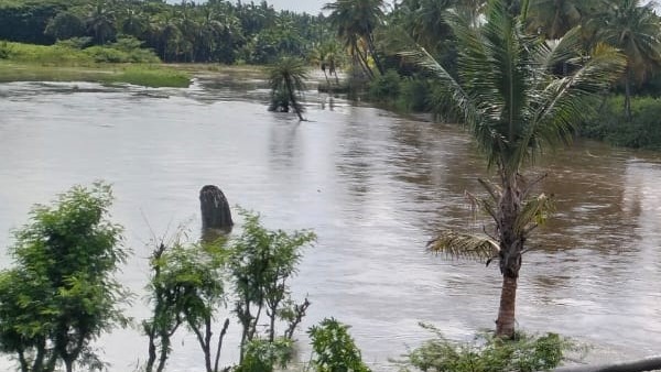  ಕಾಳಜಿ ಕೇಂದ್ರ ಆರಂಭ