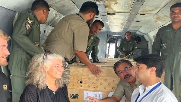 ಐದು ವರ್ಷಗಳಲ್ಲಿ ಸಂತಾನೋತ್ಪತ್ತಿ ಮಾಡದಿದ್ದರೇ ಯೋಜನೆ ವಿಫಲ