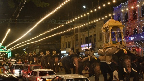  ಶಬ್ದಕ್ಕೆ ಬೆದರದ ಗಜ-ಅಶ್ವಪಡೆ